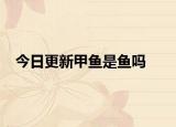 今日更新甲鱼是鱼吗