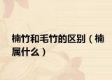 楠竹和毛竹的区别（楠属什么）