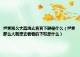 世界那么大真想去看看下联是什么（世界那么大我想去看看的下联是什么）