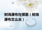 树海瀑布在哪里（树海瀑布怎么去）