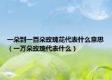 一朵到一百朵玫瑰花代表什么意思（一万朵玫瑰代表什么）