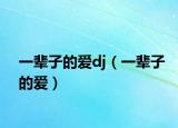 一辈子的爱dj（一辈子的爱）