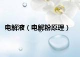 电解液（电解粉原理）