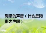 陶斯的声音（什么是陶斯之声啊）