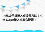小米10手机接入点设置方法（小米11apn接入点怎么设置）