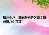 宿州市八一医院肠镜多少钱（宿州市八中在那）