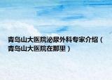 青岛山大医院泌尿外科专家介绍（青岛山大医院在那里）