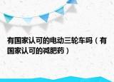 有国家认可的电动三轮车吗（有国家认可的减肥药）