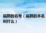扁鹊的名号（扁鹊的本名叫什么）