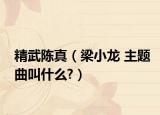 精武陈真（梁小龙 主题曲叫什么?）