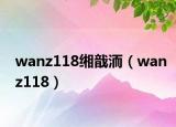 wanz118缃戠洏（wanz118）