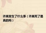 许嵩发生了什么事（许嵩死了是真的吗）