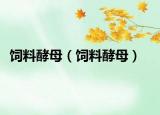 饲料酵母（饲料酵母）