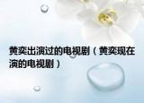 黄奕出演过的电视剧（黄奕现在演的电视剧）