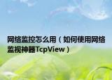网络监控怎么用（如何使用网络监视神器TcpView）