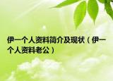 伊一个人资料简介及现状（伊一个人资料老公）