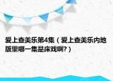 爱上查美乐第4集（爱上查美乐内地版里哪一集是床戏啊?）
