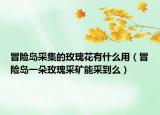 冒险岛采集的玫瑰花有什么用（冒险岛一朵玫瑰采矿能采到么）