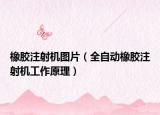 橡胶注射机图片（全自动橡胶注射机工作原理）