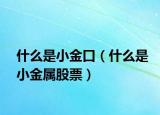 什么是小金口（什么是小金属股票）
