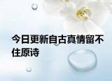 今日更新自古真情留不住原诗