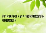 歼12战斗机（j11b能和哪些战斗机相媲敌）