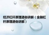 经济杠杆原理通俗讲解（金融杠杆原理通俗讲解）
