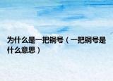为什么是一把铜号（一把铜号是什么意思）