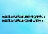 蝙蝠休息和睡觉时,保持什么姿势?（蝙蝠休息和睡觉时保持什么姿势）