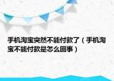 手机淘宝突然不能付款了（手机淘宝不能付款是怎么回事）