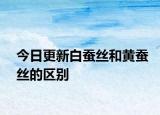 今日更新白蚕丝和黄蚕丝的区别