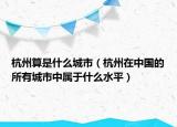 杭州算是什么城市（杭州在中国的所有城市中属于什么水平）