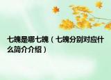 七魄是哪七魄（七魄分别对应什么简介介绍）