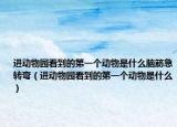 进动物园看到的第一个动物是什么脑筋急转弯（进动物园看到的第一个动物是什么）