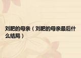 刘肥的母亲（刘肥的母亲最后什么结局）