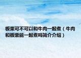 板栗可不可以和牛肉一起煮（牛肉和板栗能一起煮吗简介介绍）