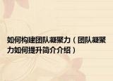 如何构建团队凝聚力（团队凝聚力如何提升简介介绍）