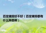 百变猪排好不好（百变猪排都有什么种类啊）