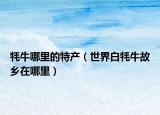 牦牛哪里的特产（世界白牦牛故乡在哪里）
