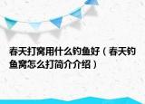 春天打窝用什么钓鱼好（春天钓鱼窝怎么打简介介绍）