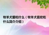 牧羊犬爱吃什么（牧羊犬喜欢吃什么简介介绍）