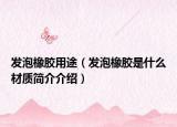 发泡橡胶用途（发泡橡胶是什么材质简介介绍）