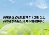 浦东新区公证处有几个（为什么上海市浦东新区公证处不管这件事）
