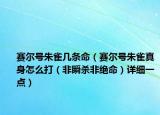 赛尔号朱雀几条命（赛尔号朱雀真身怎么打（非瞬杀非绝命）详细一点）