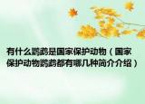 有什么鹦鹉是国家保护动物（国家保护动物鹦鹉都有哪几种简介介绍）