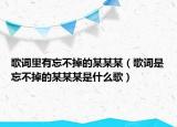歌词里有忘不掉的某某某（歌词是忘不掉的某某某是什么歌）