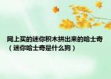 网上买的迷你积木拼出来的哈士奇（迷你哈士奇是什么狗）