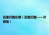 百度识图在哪（百度识图——许睿瑜）