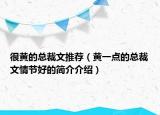 很黄的总裁文推荐（黄一点的总裁文情节好的简介介绍）
