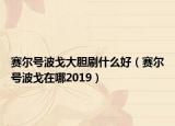 赛尔号波戈大胆刷什么好（赛尔号波戈在哪2019）